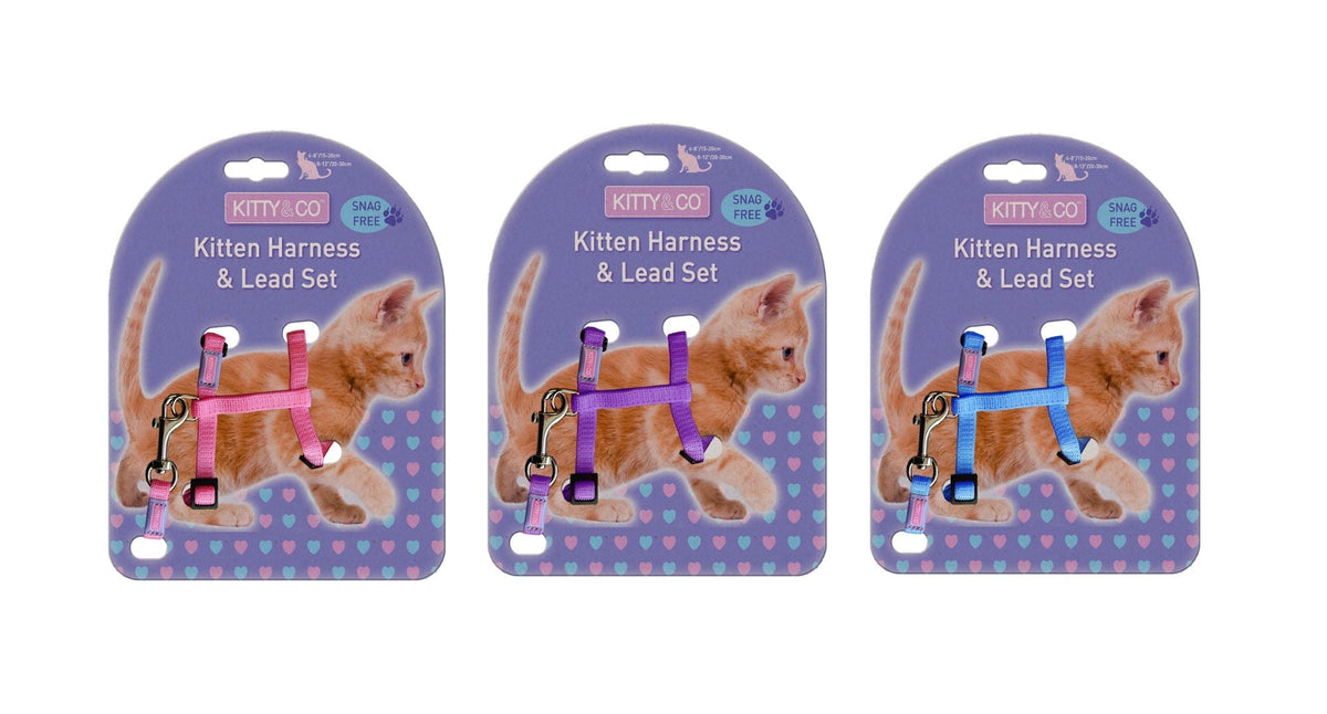 Kitty and Co Nylon Adj Cat Harness and Lead Set Kitten Assorted