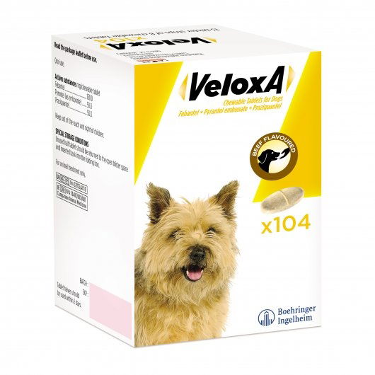 Veloxa Worming Tablets for Dogs Xl