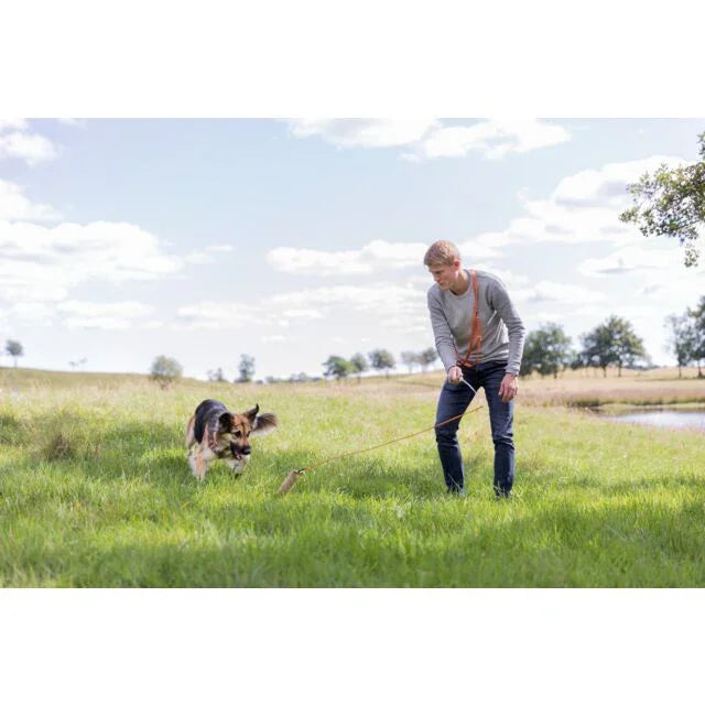 Trixie Lure Rod for Dogs