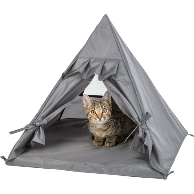 Trixie Tipi Samoa