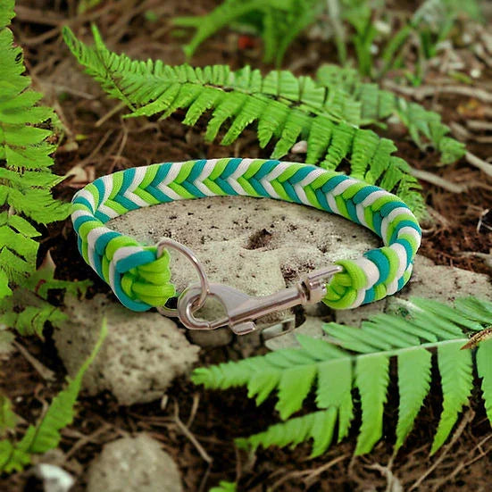 Apple Sours - Handmade Paracord Dog Collar - Small 9-12" / Nickel / Normal Clasp