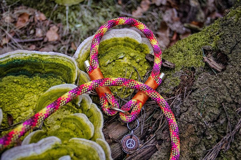 Slip Rope Collar - Handmade Paracord Dog Collar - 9-12" / Nickel