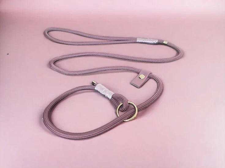 Pink adjustable dog leash with brass ring and snap button on matching pink background