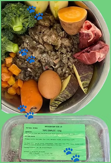 Northern Raw Feeds - Tripe Complete - 454g