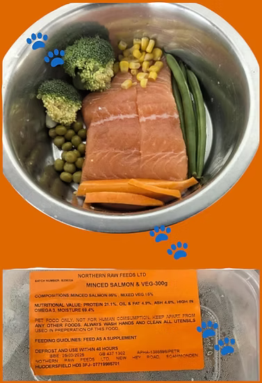 Northern Raw Feeds - Salmon & Veg - 300g
