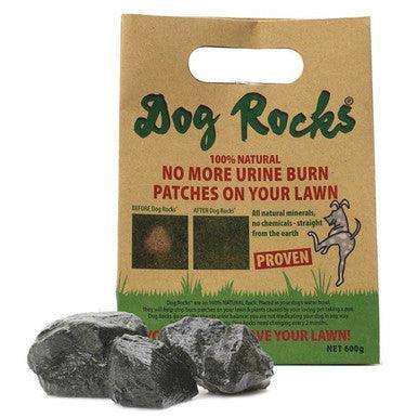 Dog Rocks 600g - North East Pet Shop Dog Gone Fishin