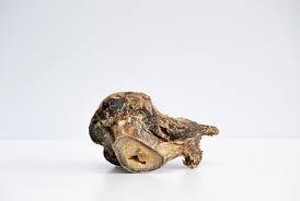 Ostrich Knuckle Small - North East Pet Shop Dog Shack UK
