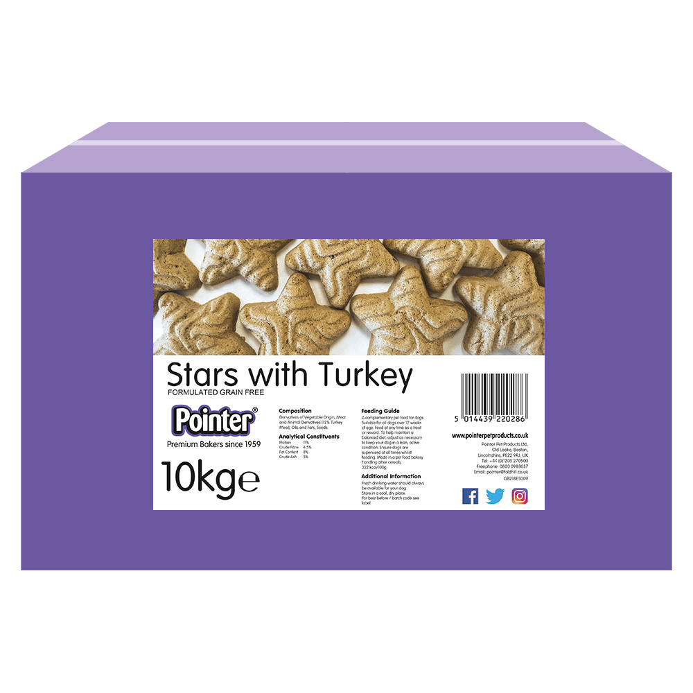 Pointer Stars with Turkey - North East Pet Shop Pointer