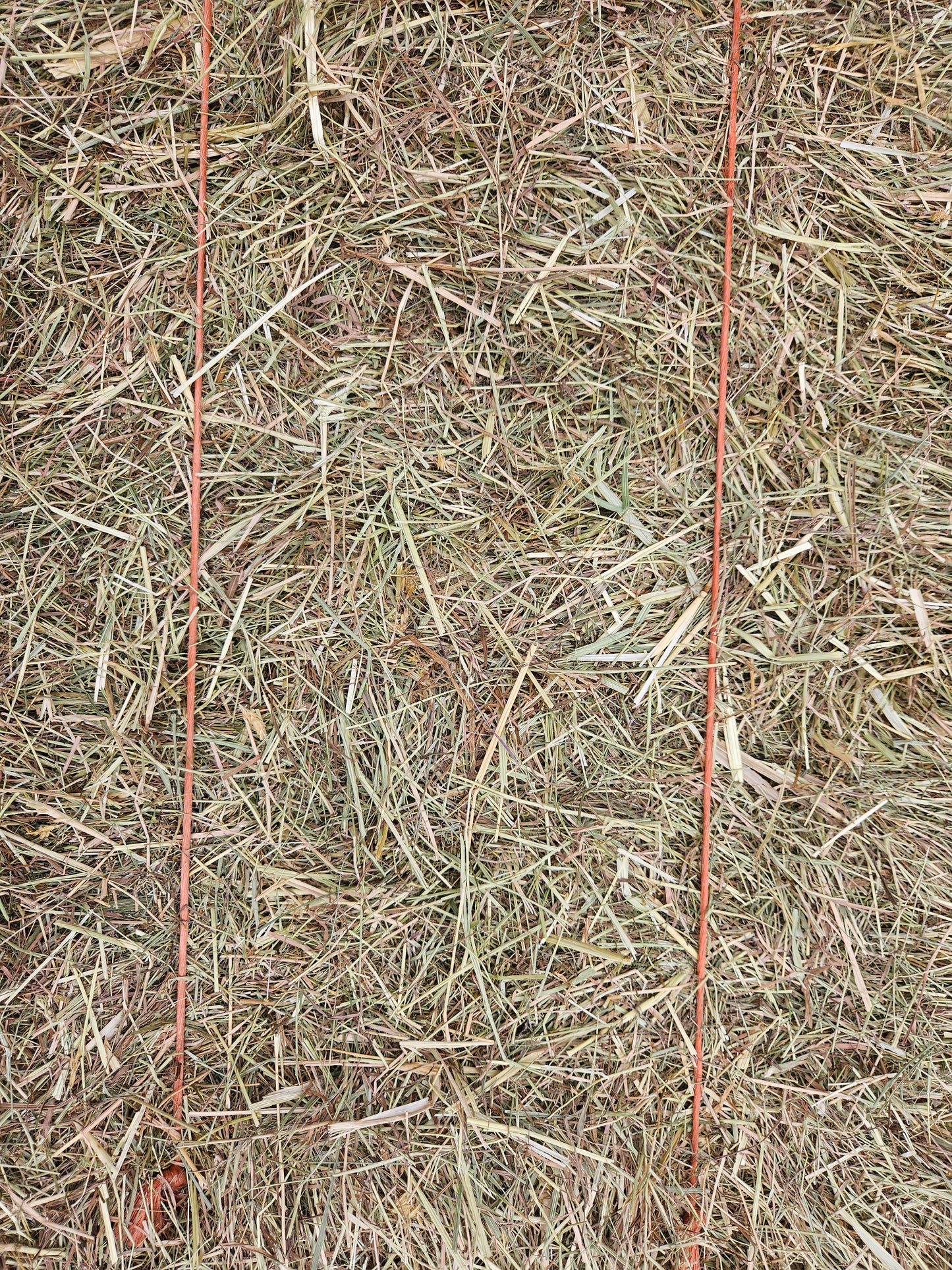 Meadow Hay Bale - North East Pets