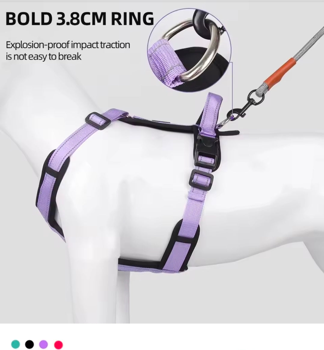 North East Pets Harness Vest - S / Purple