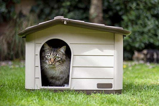MP Bergamo Knock-down Pet House Brown