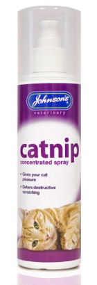 Jvp Cat Nip Pumpkin Spray 150ml