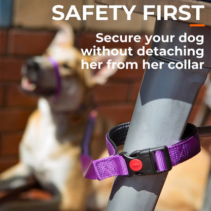 Canny CONNECT Lockable Lead - Red / Medium/large dog - 25mm width 120cm length / Brushed steel