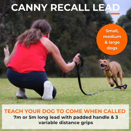 Canny Long Training Line - Medium/large dog - 7m long 25mm width / Brushed steel