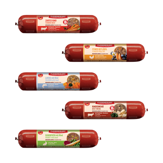 Fleischeslust Mixed Assortment Wet Dog Food - 16 x 400g Case product image