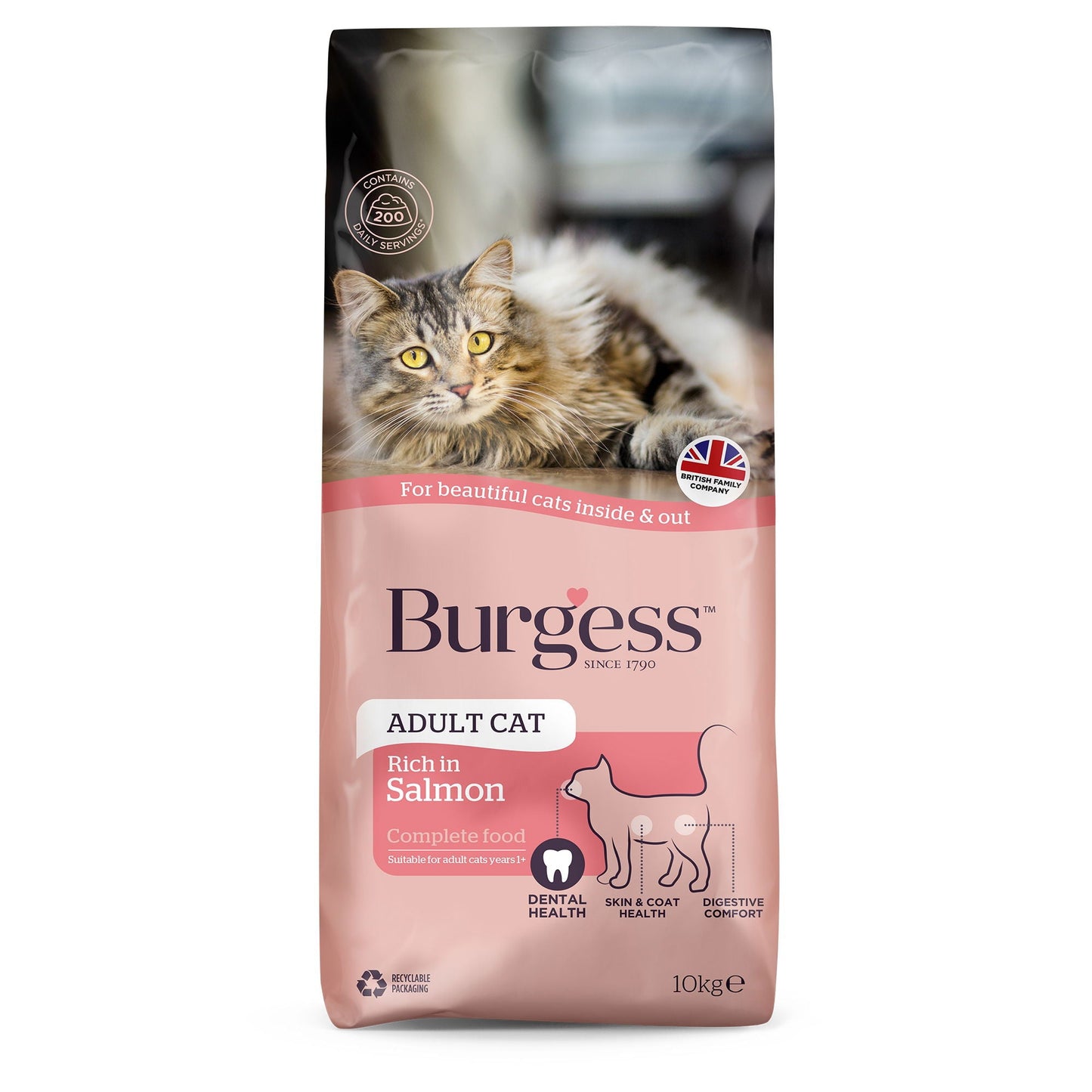 Burgess Adult Cat Scottish Salmon 10kg