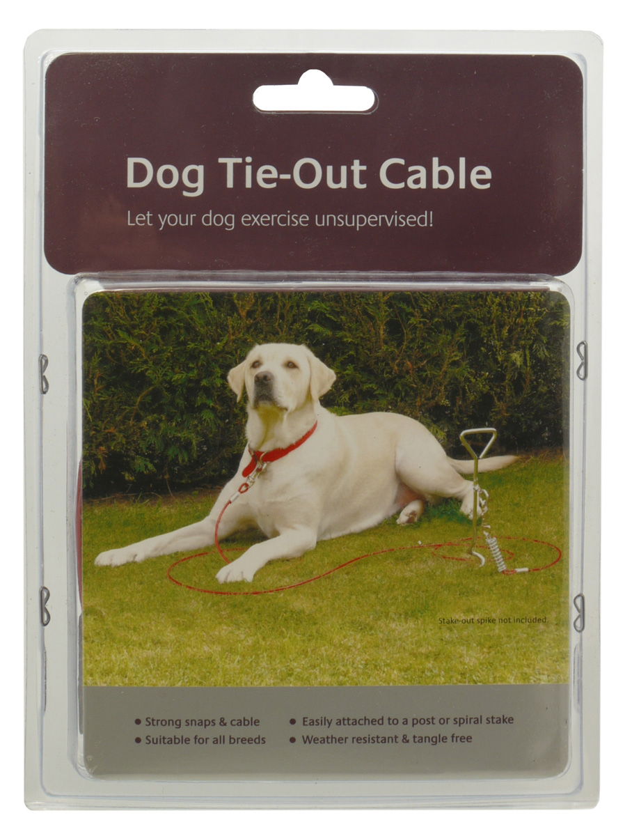 Dog Tie-out Cable 20''