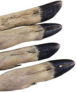 Sheep foot