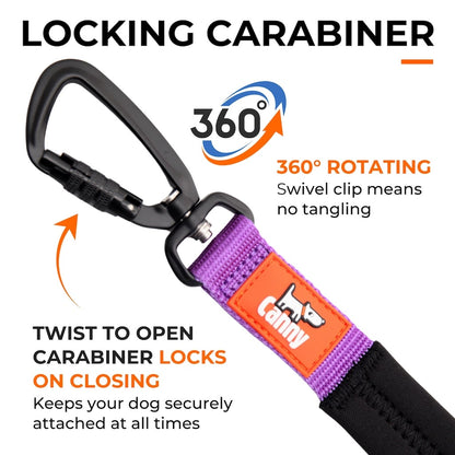 Canny CONNECT Lockable Lead - Blue / Medium/large dog - 25mm width 120cm length / Brushed steel