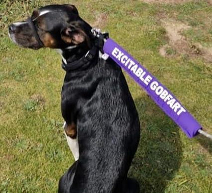 Personalised Dog Lead Sleeve - Yellow / White