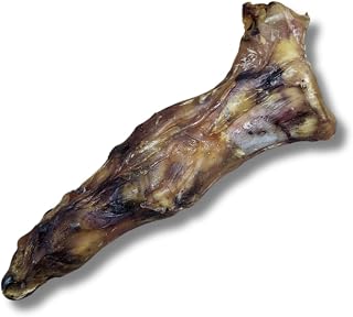 Ostrich Foot Small
