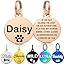 Personalised Pet Tag - Stainless Steel - Scratch Resistant - Black / Round / Small