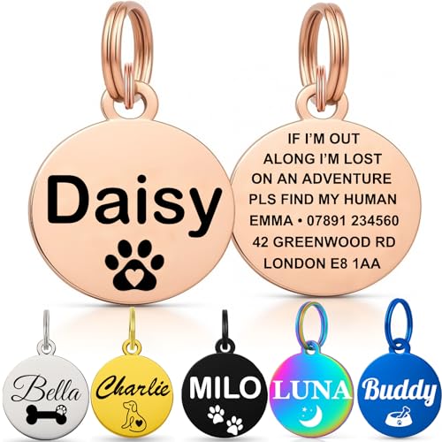 Personalised Pet Tag Champagne Round