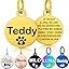 Personalised Pet Tag - Stainless Steel - Scratch Resistant - Blue / Bone / Small