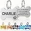Personalised Pet Tag - Stainless Steel - Scratch Resistant - Blue / Round / Small