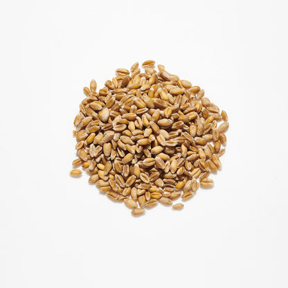 Countrywide Pigeon Wheat 20kg
