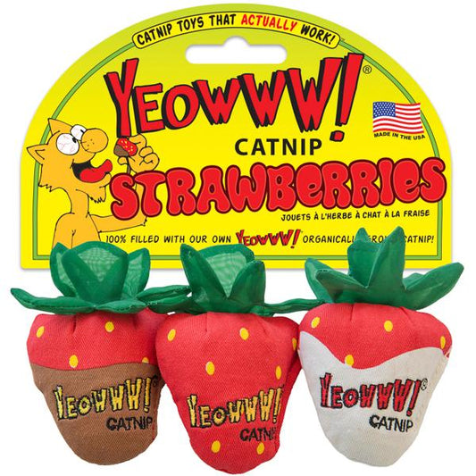 Yeowww! Strawberries