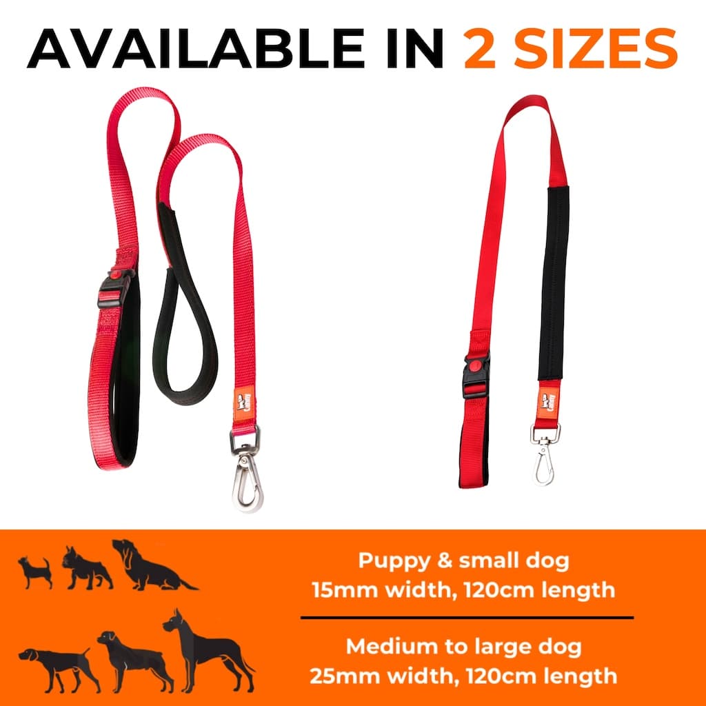 Canny CONNECT Lockable Lead - Blue / Puppy/small dog - 15mm width 120cm length / Brushed steel