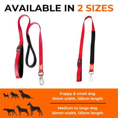 Canny CONNECT Lockable Lead - Blue / Puppy/small dog - 15mm width 120cm length / Brushed steel