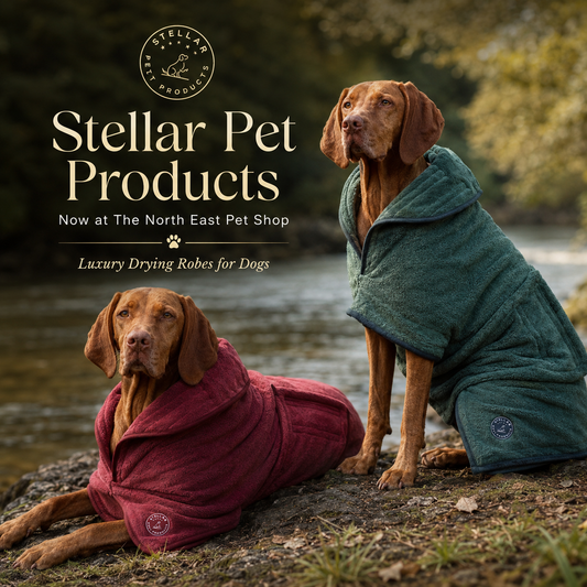 Stellar Luxury Drying Robes for Dogs - MD 35cm / Chilli