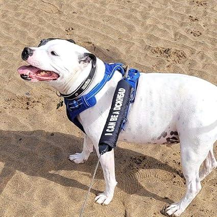 Personalised Dog Lead Sleeve - Blue / White