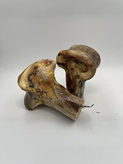 Ostrich Knuckle Small