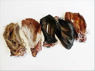 Hairy Buffalo Ear
