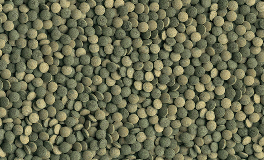 Pleco Tablets