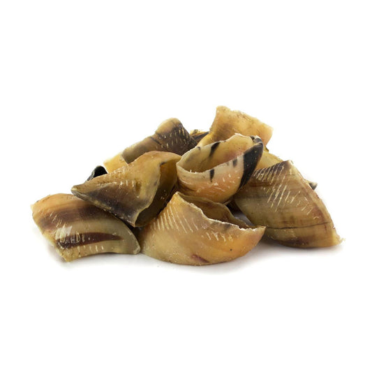T Forrest Hollow Dried Hooves - 20''s