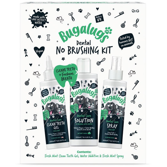 No Brushing Dental Kit