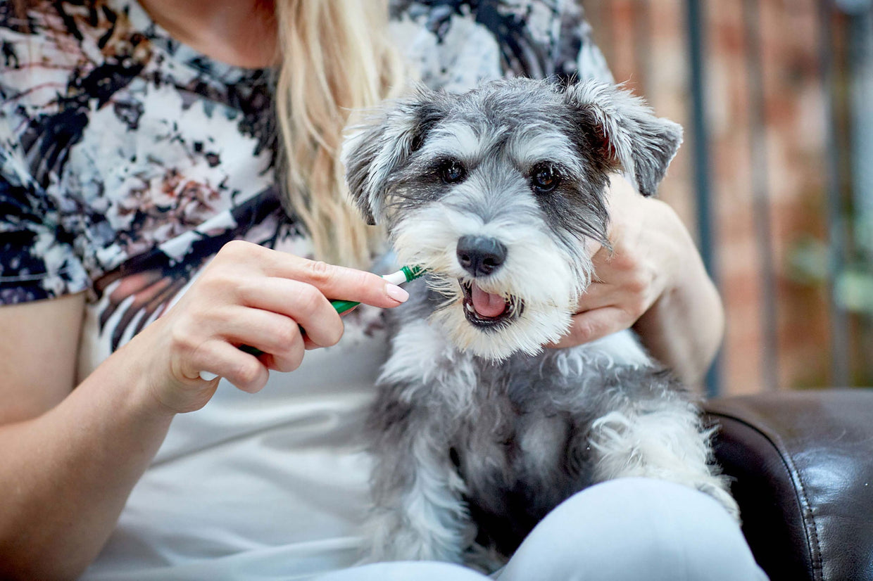 Vet''s Best Triple headed Toothbrush For Dogs