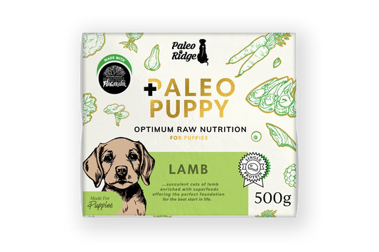 Paleo Ridge Paleo Puppy Lamb 500g