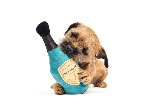 Bark Crufts Winner''s Chompagne