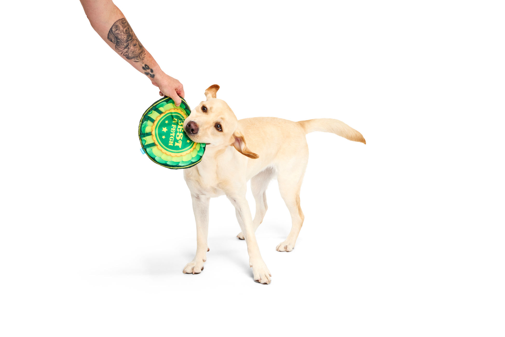 Bark Crufts Throwsette Disc