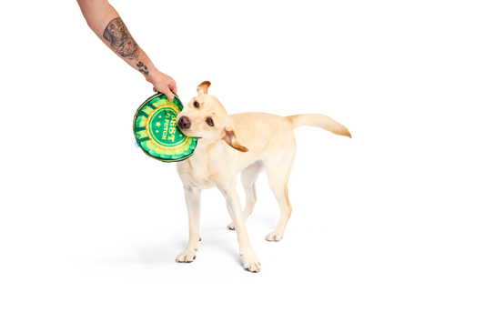 Bark Crufts Throwsette Disc