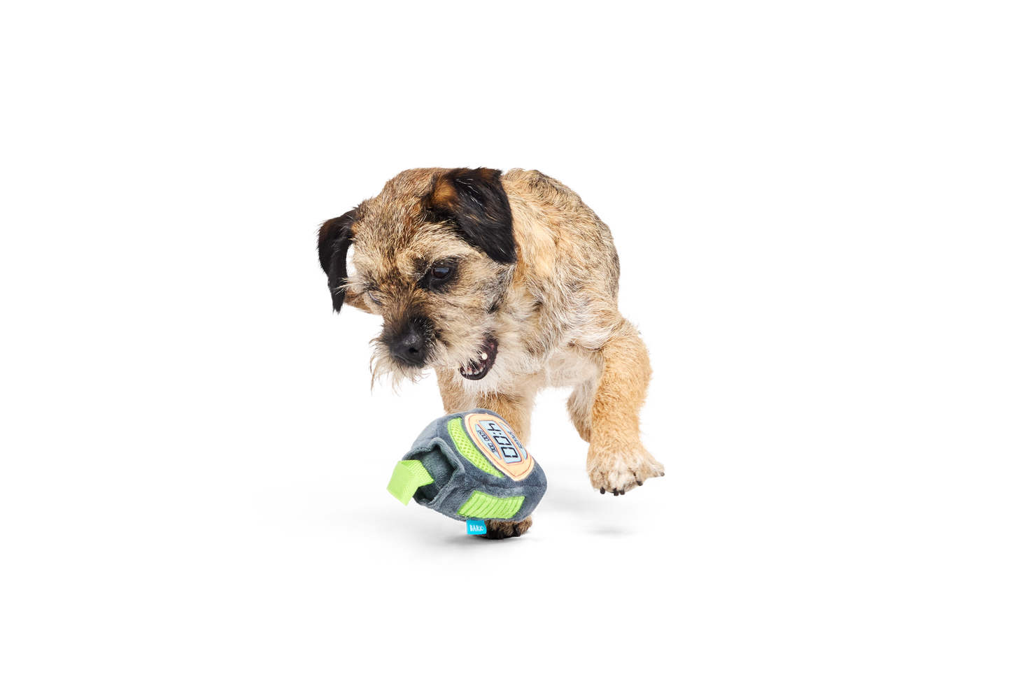 Bark Crufts Personal Beast Play Timer