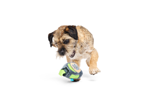 Bark Crufts Personal Beast Play Timer