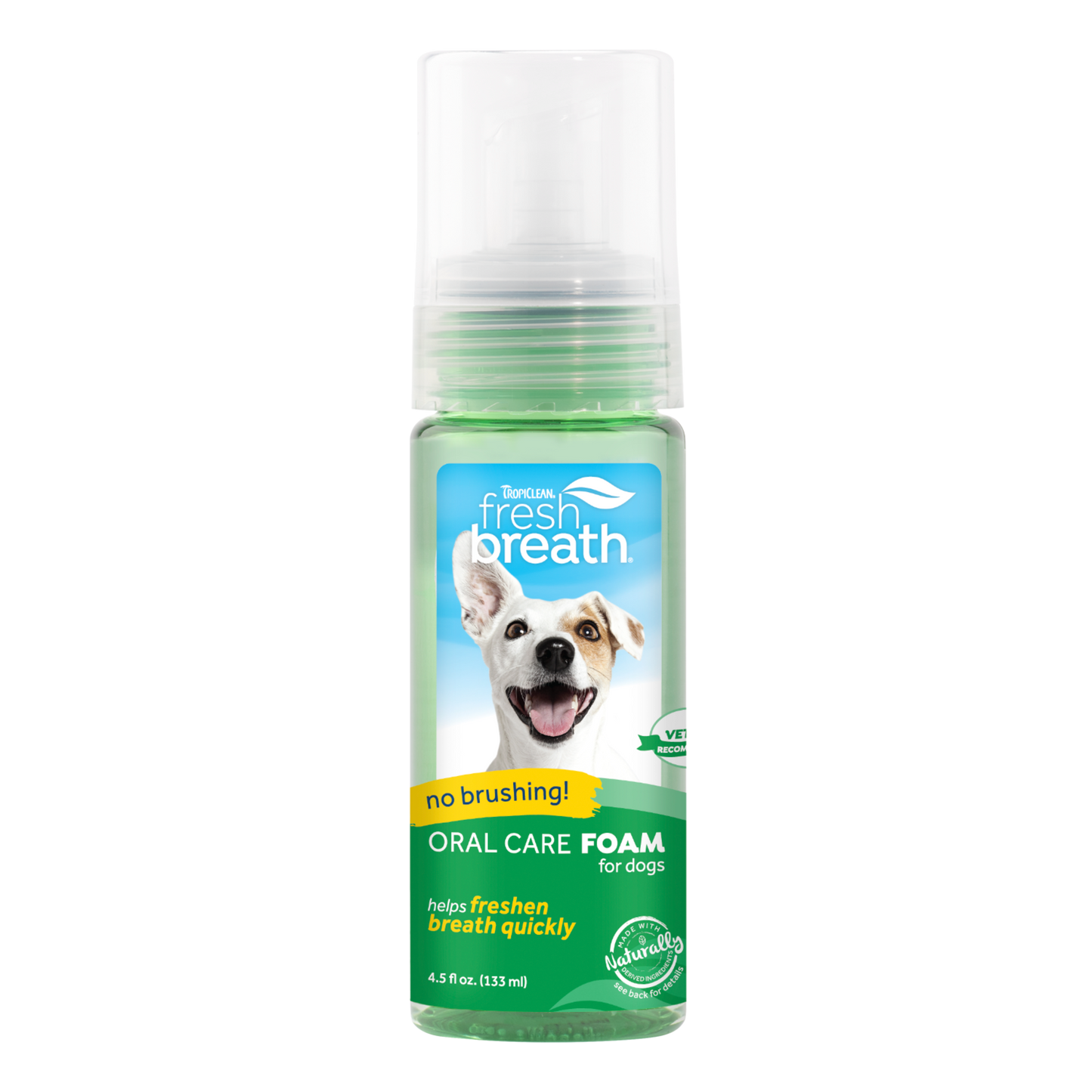 Fresh Breath Mint Oral Care Foam 133ml