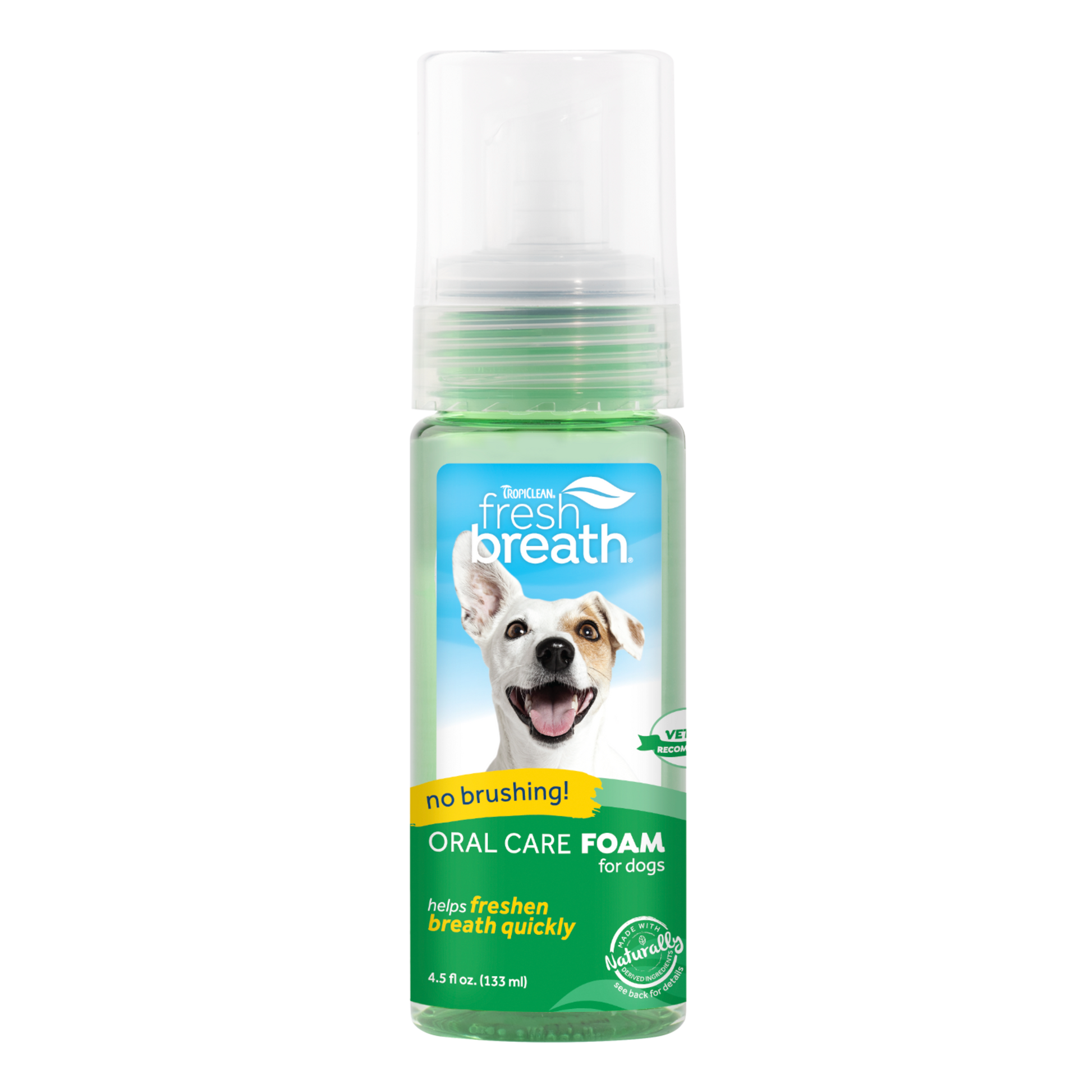 Fresh Breath Mint Oral Care Foam 133ml