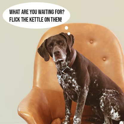 Woof & Brew LapDog Souchong (OFFER)